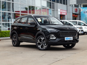 2021款300T DCT尊贵智联版 7座 整体外观