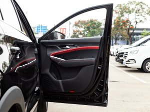 2021300T DCTF(lin) 7 g