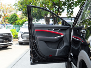 2021款300T DCT领先智联版 5座 驾驶位车门
