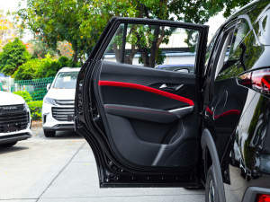 2021款300T DCT领先智联版 5座 左后车门