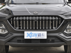2021款300T 手动全景豪华版 7座 中网