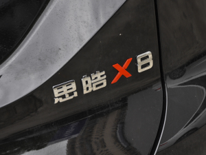 2021款300T 手动全景豪华版 7座 细节外观