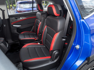 2021300T DCTI(lng)(lin) 6 