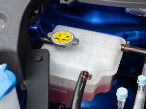 2021300T DCTI(lng)(lin) 6 