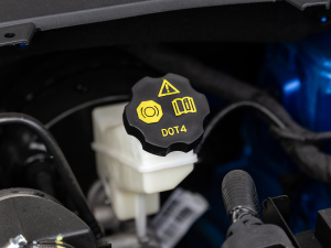 2021300T DCTI(lng)(lin) 6 