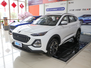 2021款300T 手动领先智联版 6座 整体外观