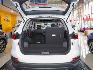 2021300T քI(lng)(lin) 6 g