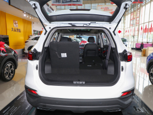 2021300T քI(lng)(lin) 6 g