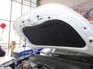 2021款300T 手动领先智联版 6座 其它