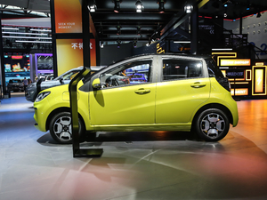 2021302km A 30.2kWh (c)