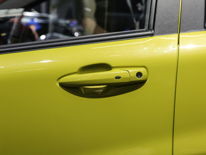 2021302km A 30.2kWh {T