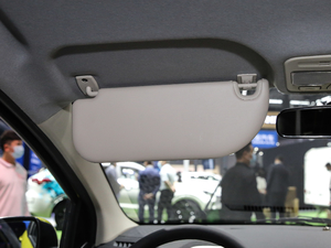 2021302km A 30.2kWh ꖰ壨