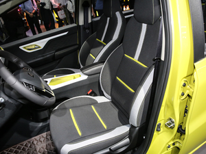 2021302km A 30.2kWh {