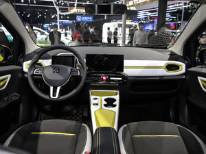 2021302km A 30.2kWh (ni)ȫ