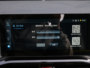 2021款302km 超越型 30.2kWh 中控区