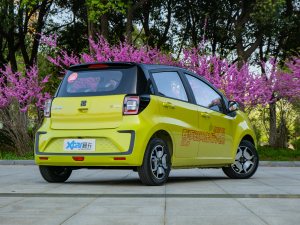 2021302km Խ 30.2kWh w^