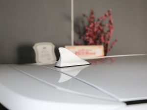 2021302km A 30.2kWh (x)(ji)^