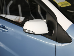 2021款302km 豪华型 30.2kWh 细节外观