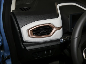 2021302km A 30.2kWh g