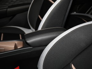 2021款302km 豪华型 30.2kWh 中央扶手箱
