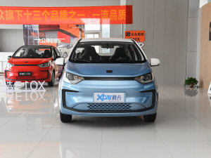 2021款302km 时尚型 30.2kWh 正前