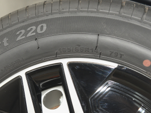 2021302km r 30.2kWh ݆̥ߴ