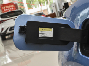 2021302km r 30.2kWh ^