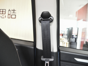 2021302km r(sh) 30.2kWh g