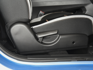 2021302km r(sh) 30.2kWh g