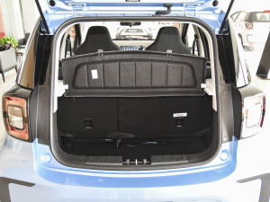 2021302km r 30.2kWh g