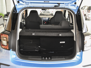 2021302km r 30.2kWh g