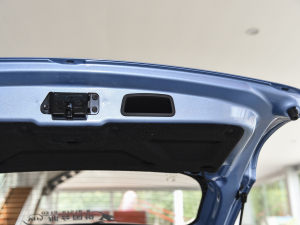 2021302km r 30.2kWh g