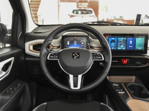 2021款302km 时尚型 30.2kWh 方向盘