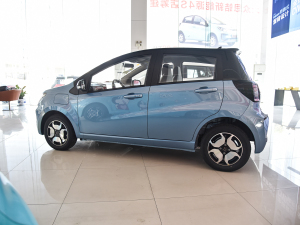 2021302km A 31.4kWh w^