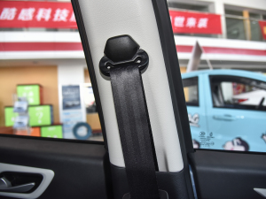 2021302km A 31.4kWh g