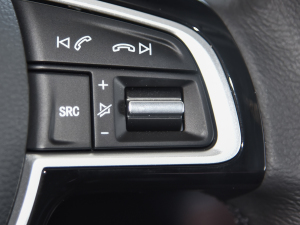 2021款302km 豪华型 31.4kWh 音响调节