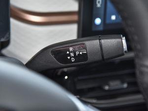 2021款302km 豪华型 31.4kWh 换挡杆