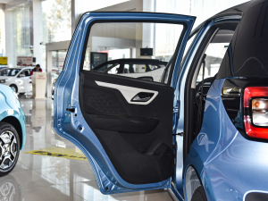 2021款302km 豪华型 31.4kWh 左后车门
