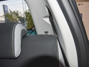 2021302km r 31.4kWh g