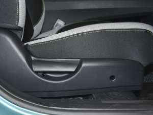 2021302km r 31.4kWh g