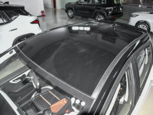 2021款302km 超越型 31.4kWh 车顶