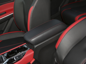 2021款1.5T CVT机甲版 中央扶手箱