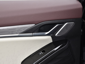 2021300T DCT(lin) g