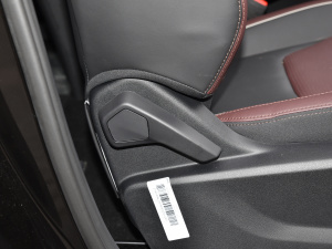 2021300T DCT(lin) g