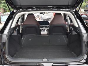 2021300T DCT(lin) g