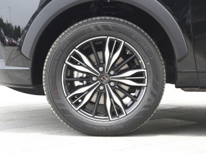 2021300T DCTs ݆Ȧ