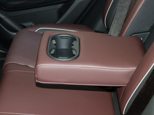 2021300T DCTs(lin) 