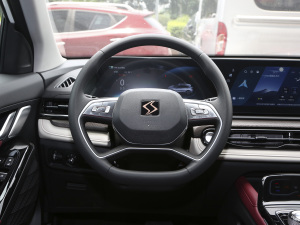 2021300T DCTF(lin) P