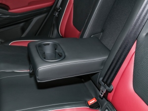 2021300T DCTA(lin) 