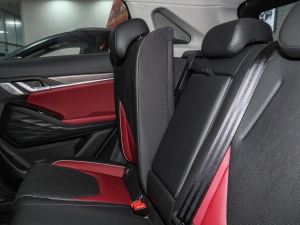 2021300T DCTA(lin) g